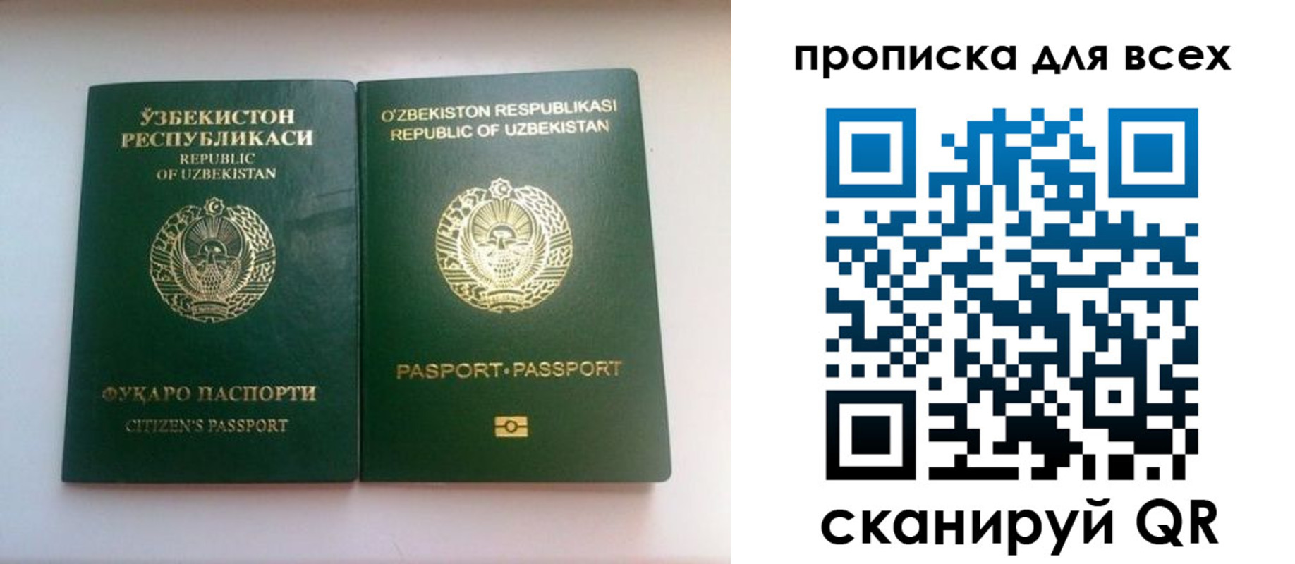 прописка для школы в Набережных Челнах